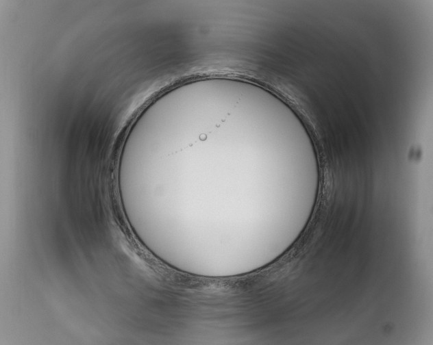 X0000112790578200908210941