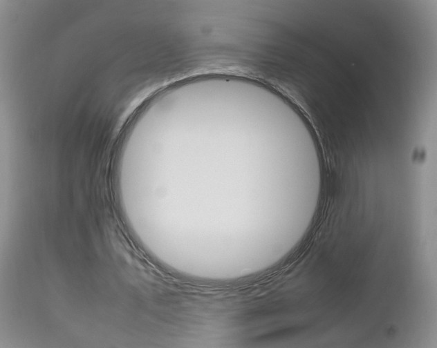 X0000112790579200908210941