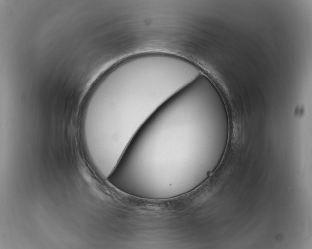 X0000112790580200908210941
