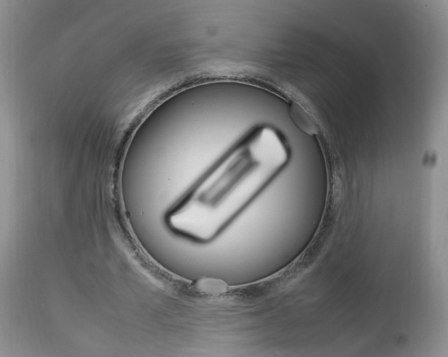 X0000112790581200908210941