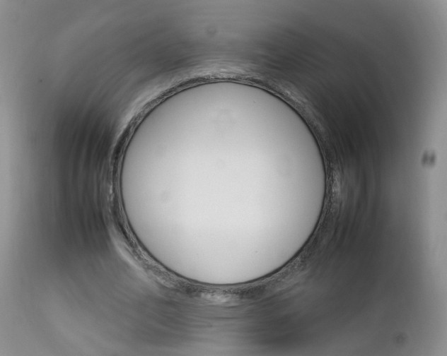 X0000112790582200908210941