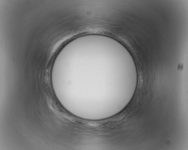 X0000112790583200908210941