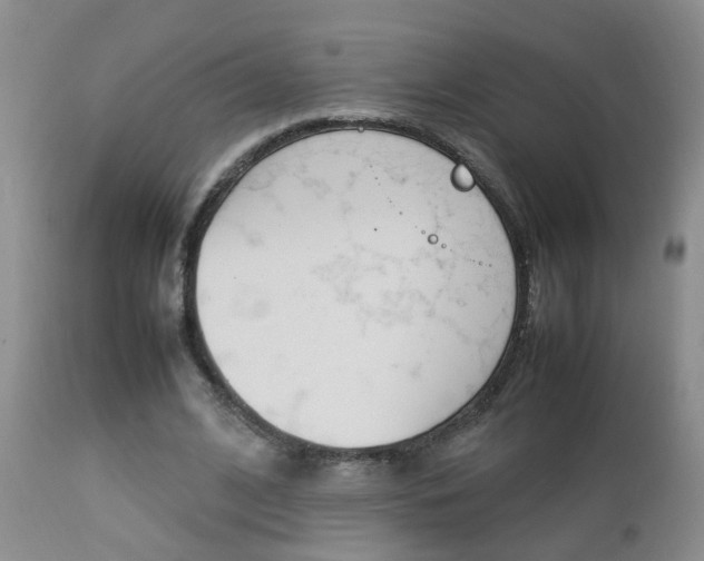 X0000112790584200908210941