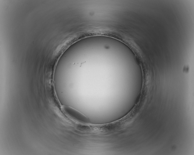 X0000112790585200908210941