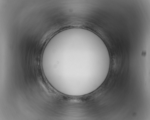 X0000112790586200908210941