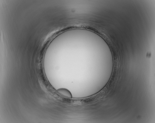 X0000112790587200908210941
