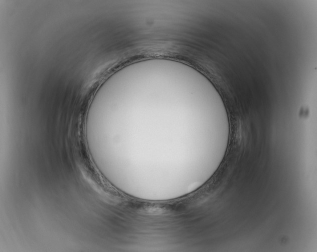 X0000112790590200908210941