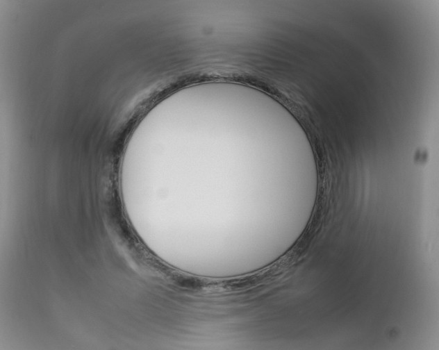 X0000112790591200908210940
