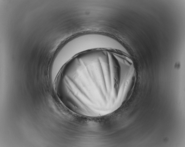 X0000112790592200908210940