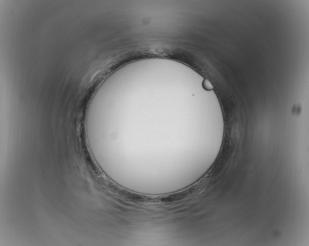 X0000112790595200908210940
