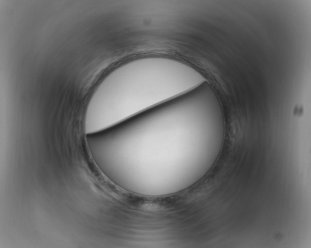 X0000112790596200908210940