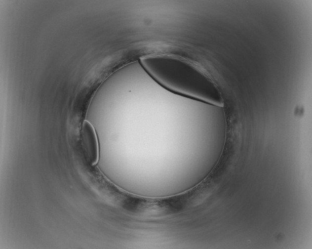 X0000112790597200908210940