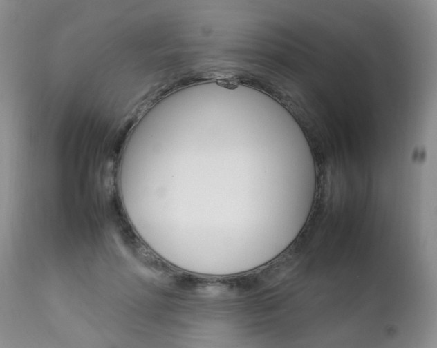 X0000112790598200908210940