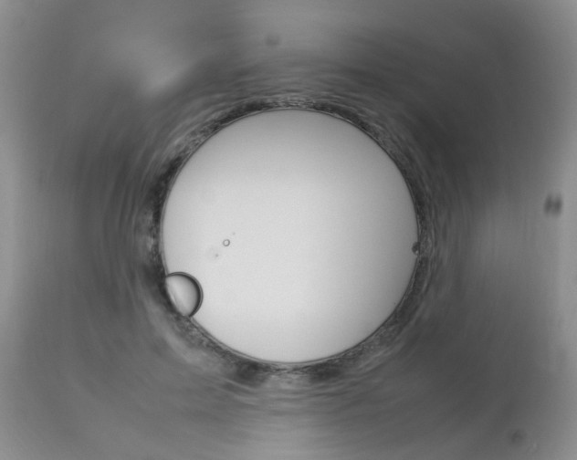 X0000112790599200908210940