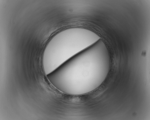 X0000112790600200908210940