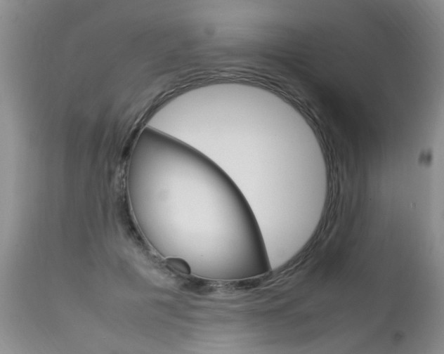 X0000112790601200908210940