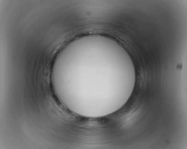 X0000112790604200908210940