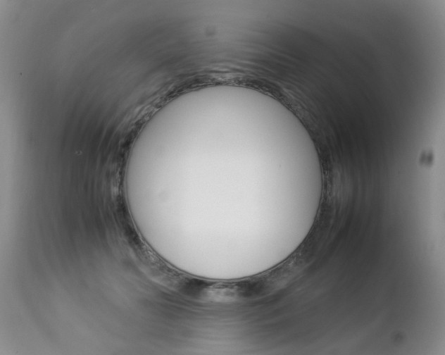 X0000112790606200908210940
