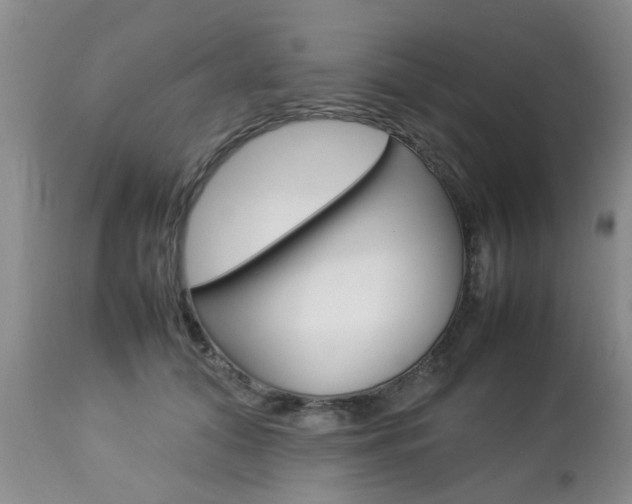 X0000112790608200908210940
