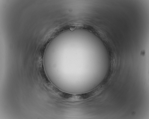 X0000112790609200908210940