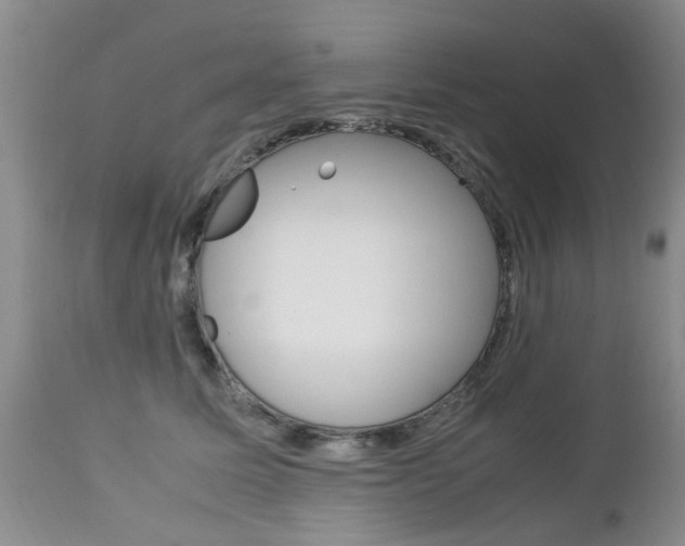 X0000112790611200908210940