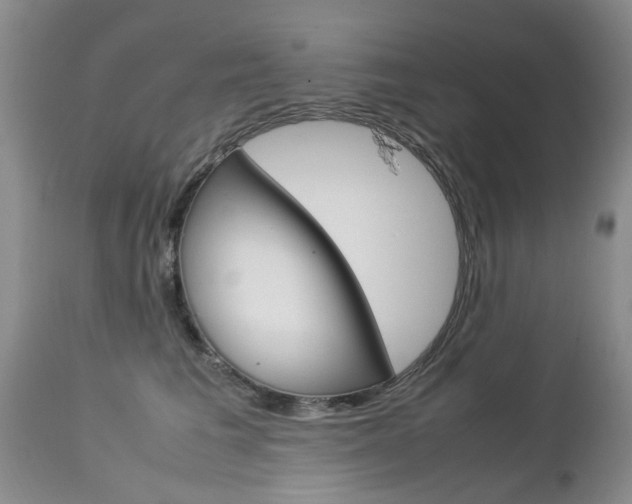 X0000112790613200908210940