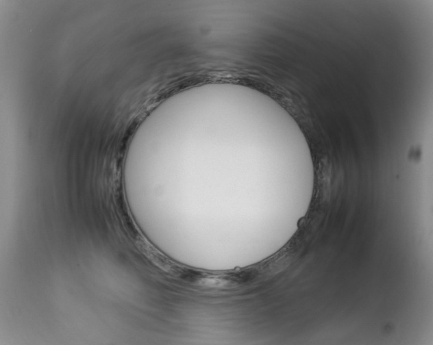 X0000112790614200908210940