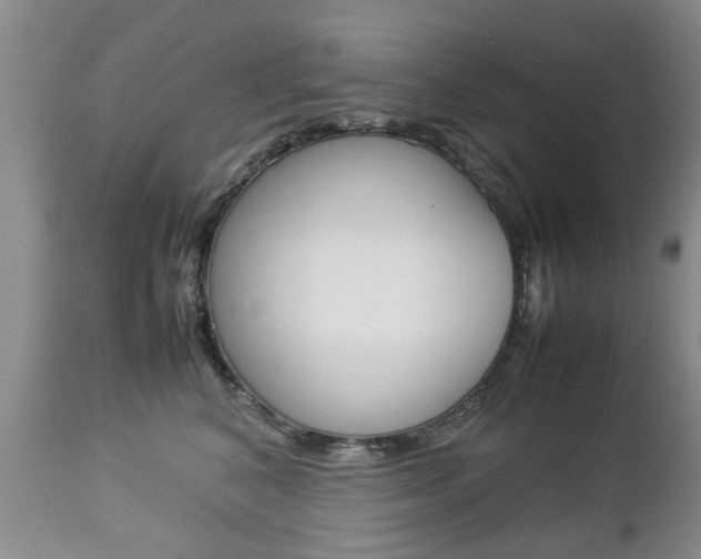 X0000112790616200908210940