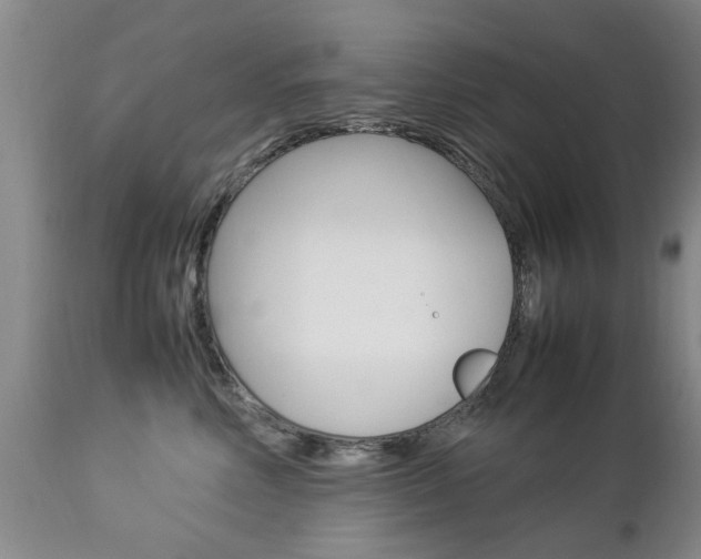 X0000112790618200908210940
