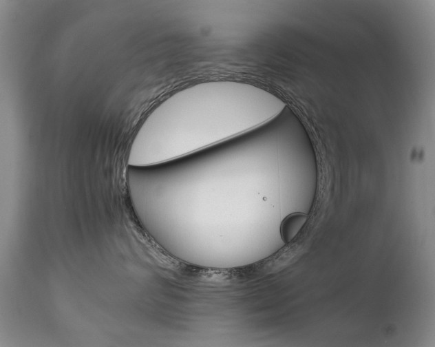 X0000112790624200908210940