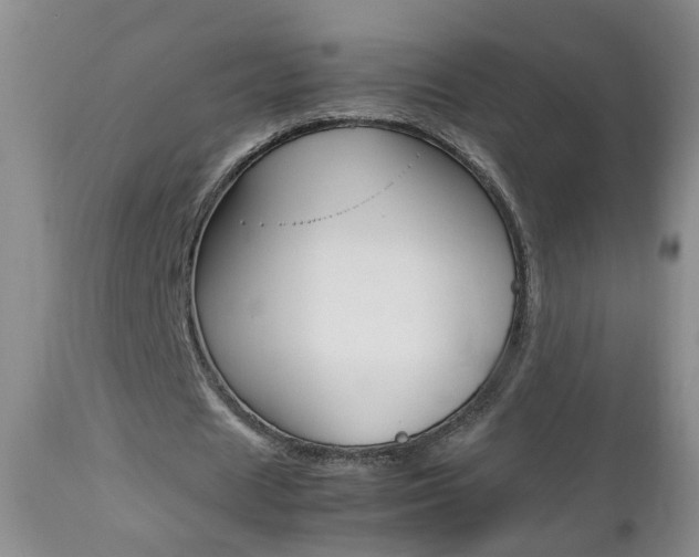 X0000112790625200908210939