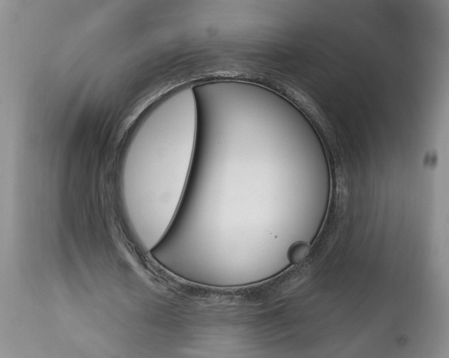 X0000112790626200908210939