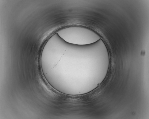 X0000112790629200908210939