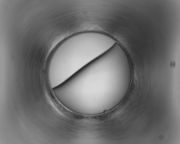 X0000112790630200908210939