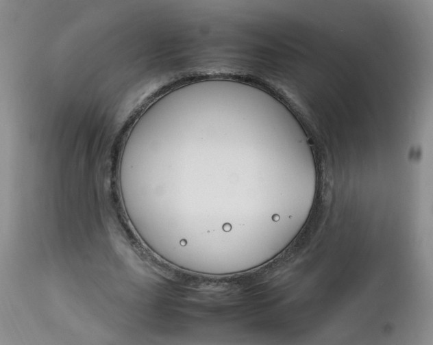 X0000112790631200908210939