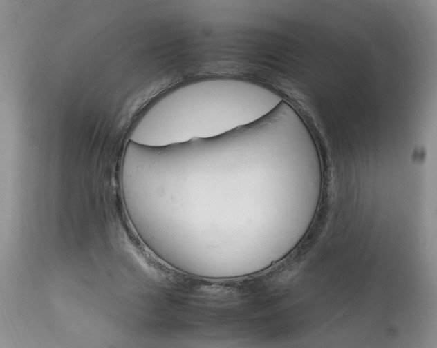 X0000112790633200908210939