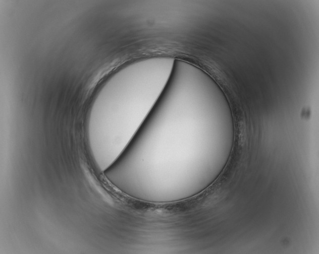 X0000112790634200908210939