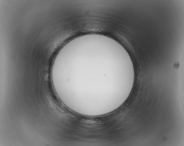 X0000112790635200908210939