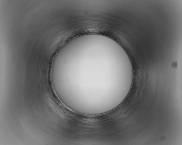 X0000112790639200908210939