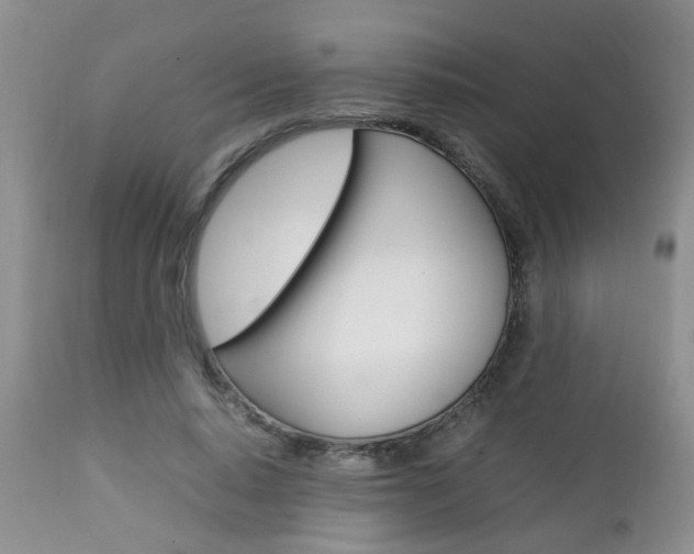 X0000112790640200908210939