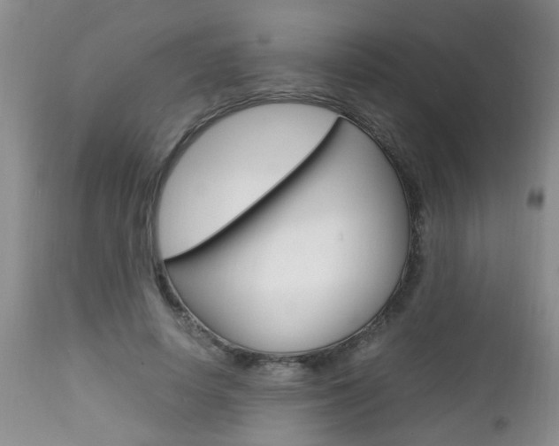 X0000112790642200908210939