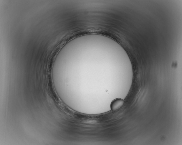X0000112790643200908210939
