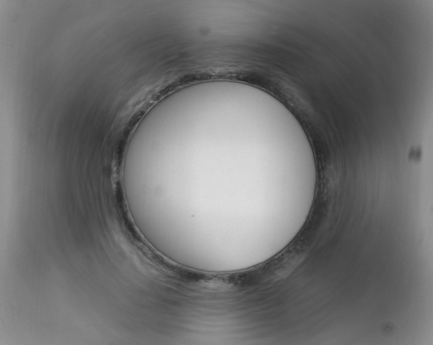 X0000112790644200908210939