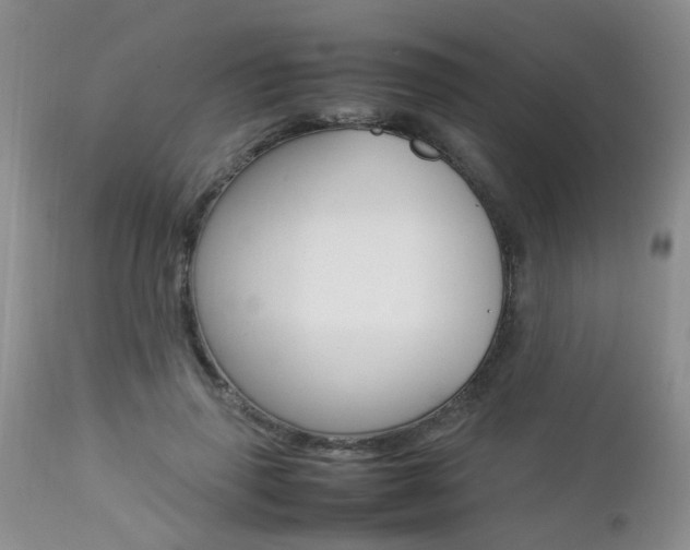 X0000112790645200908210939