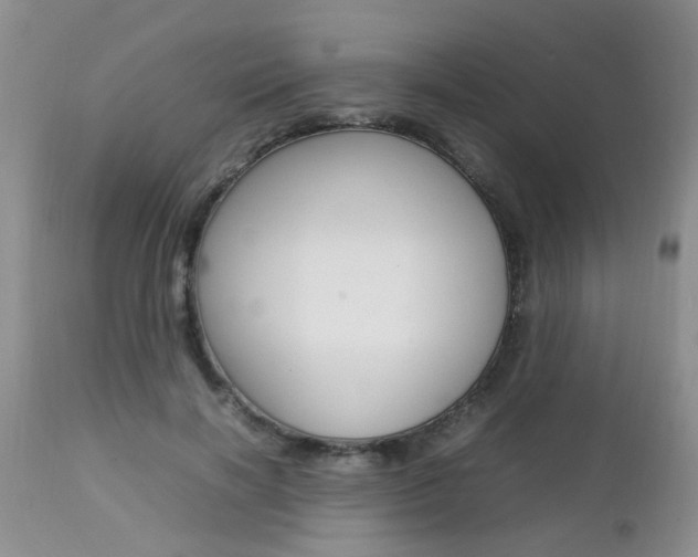 X0000112790646200908210939