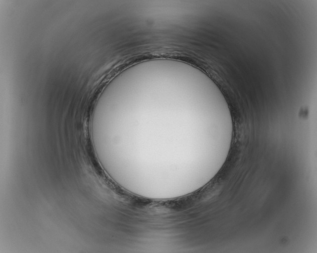 X0000112790648200908210940