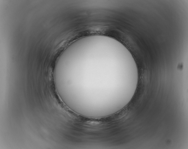 X0000112790649200908210940