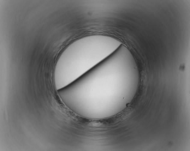 X0000112790650200908210940