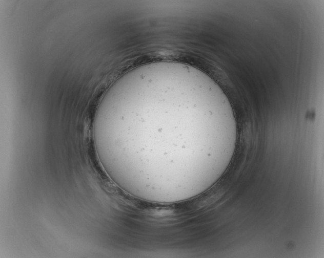 X0000112790651200908210940