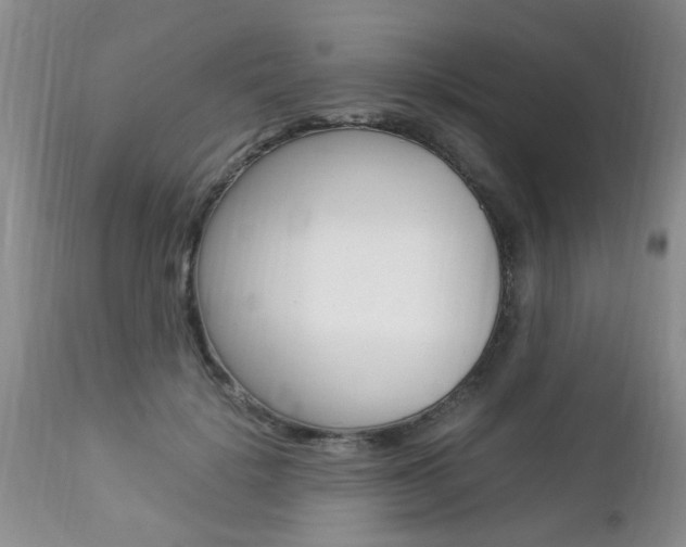 X0000112790652200908210940